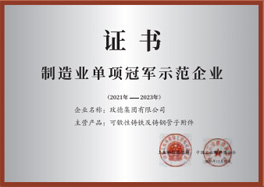制造業(yè)單項冠軍示范企業(yè)